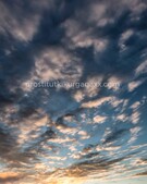 Анкета проститутки Надюша - метро Сокольники, возраст - 22