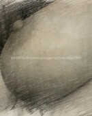 Анкета проститутки Эвелина - метро Ломоносовский, возраст - 35